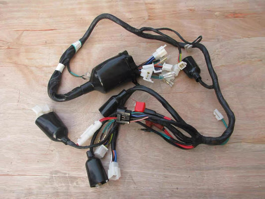 Wiring Harness Loom for Pulse Adrenaline 250cc (carb model only)