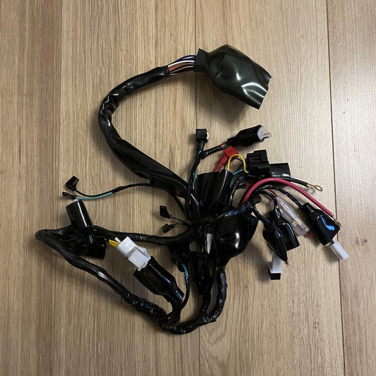 New Main Wiring Loom Harness Sinnis Apache, Pulse/Lexmoto Adrenaline, RMR 125